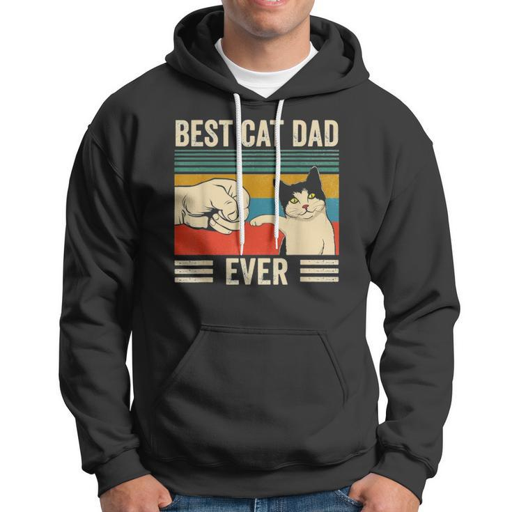 Mens Vintage Best Cat Dad Ever Bump Fit Classic Hoodie