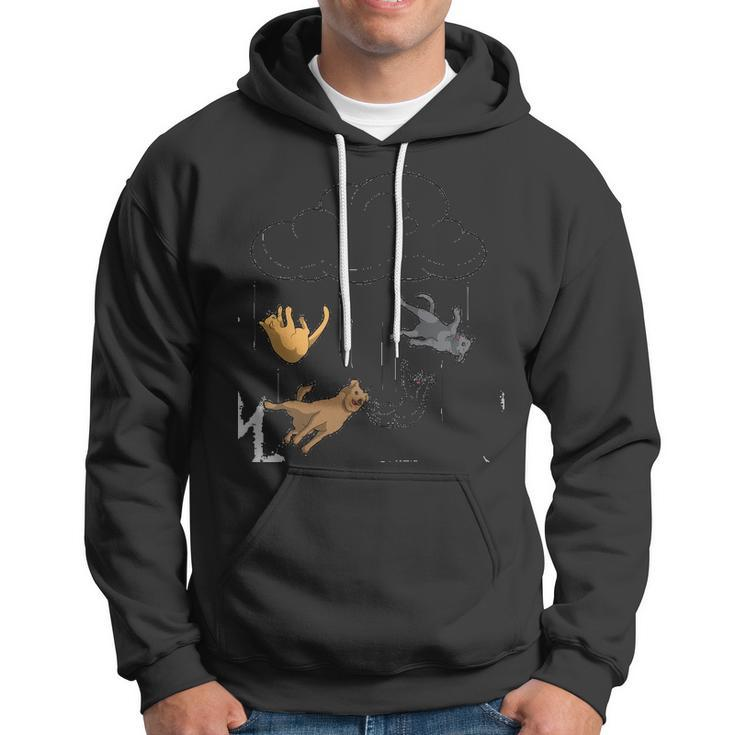 Raining Cats & Dogs Funny Dog Cat Lover Hoodie