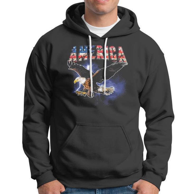 Usa Flag America Font Eagle Flashes For Men And Women Hoodie