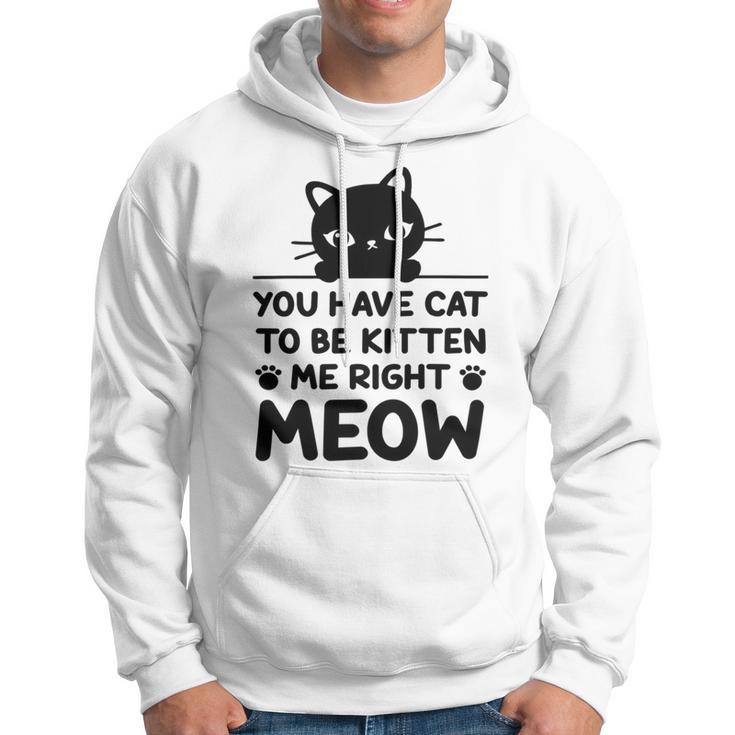 Cute Cat Lover Youve Got To Be Kitten Me Hoodie