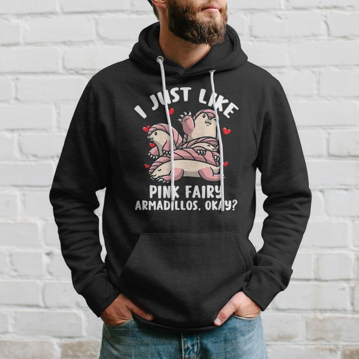 Pink Fairy Armadillo Pichiciego Funny Armadillo Hoodie Gifts for Him