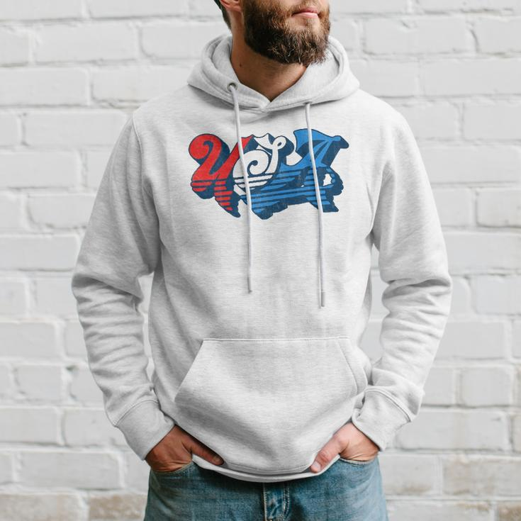 Vintage Usa Independence Day 4Th Of July Summer Typography Hoodie Gifts for Him