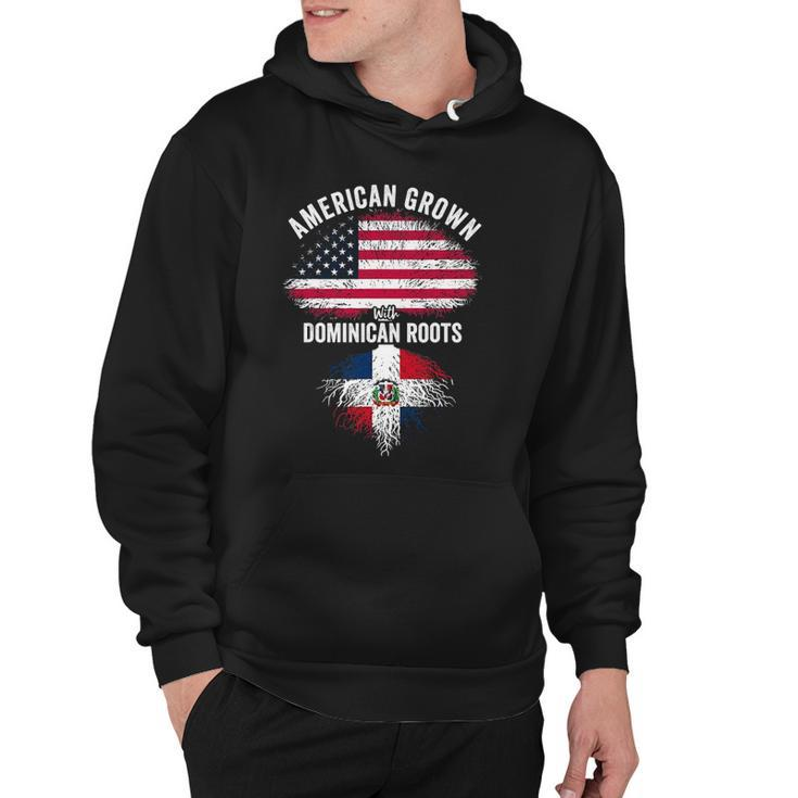 American Grown With Dominican Roots Usa Dominican Flag Hoodie