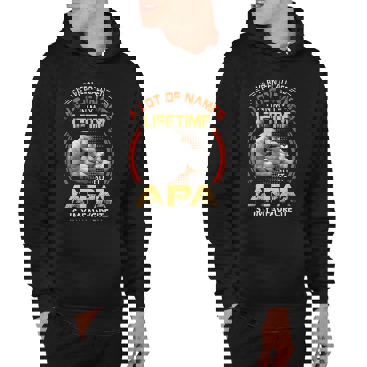 Apa Grandpa Gift   A Lot Of Name But Apa Is My Favorite Hoodie