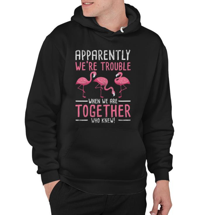 Apparently We Are Trouble Flamingo Hoodie