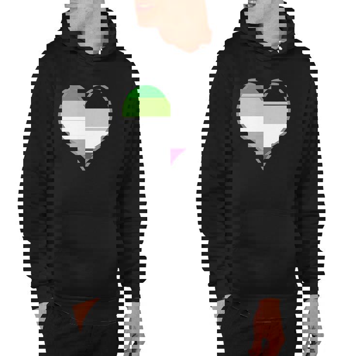 Asexual Aromantic Pride Flag Heart Nonsexual Equality Month  Hoodie