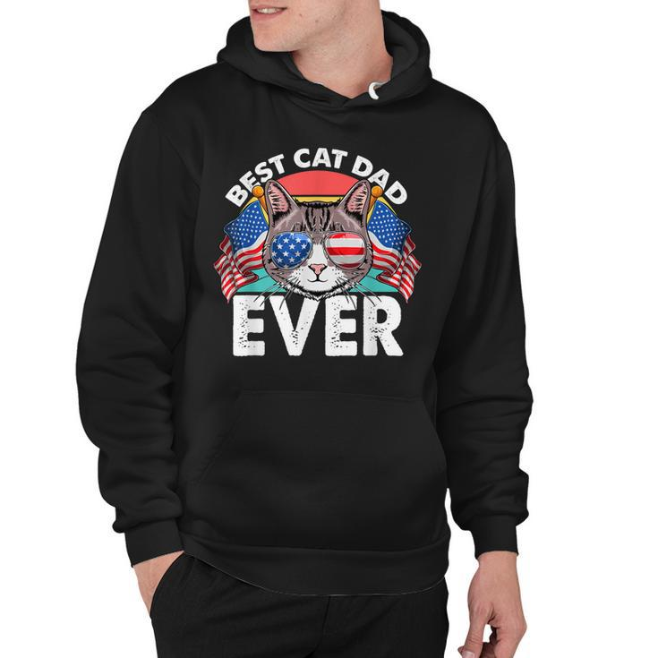 Best Cat Dad Ever Matching Fathers Day 4Th Of July Cat Lover  Hoodie