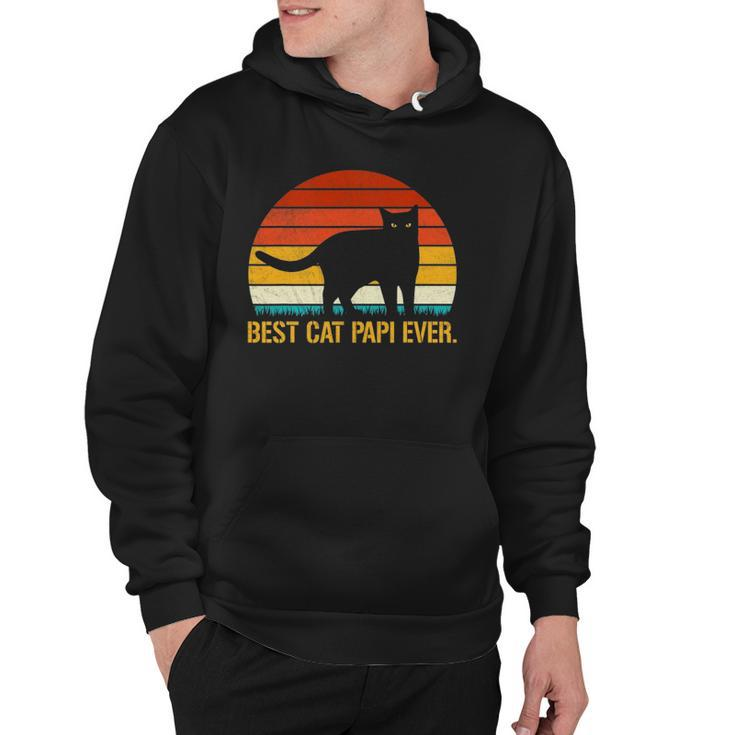 Best Cat Papi Ever Vintage Retro Cat Lover Xmas Fathers Day Hoodie