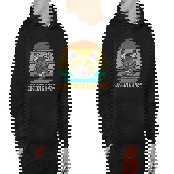 Best Tortie Dad Ever Cute Tortoiseshell Cat Lover Hoodie