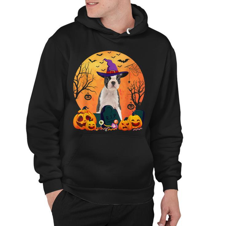 Cute Boston Terrier Halloween Costume Funny Dog Lover  Hoodie