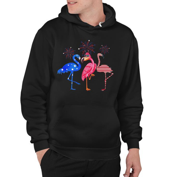 Flamingos Usa Flag 4Th Of July Independence Day Patriotic   Hoodie