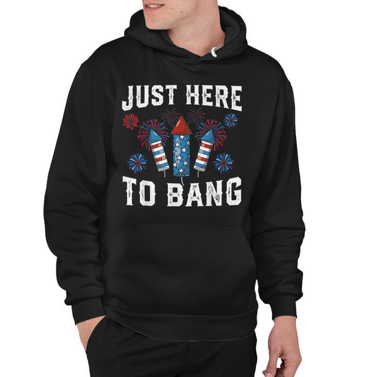 Fourth Of July 4Th Of July Fireworks Just Here To Bang  Hoodie