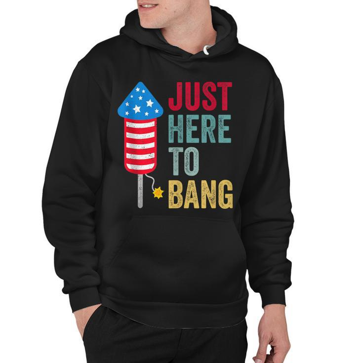Fourth Of July 4Th Of July Funny Im Just Here To Bang  Hoodie