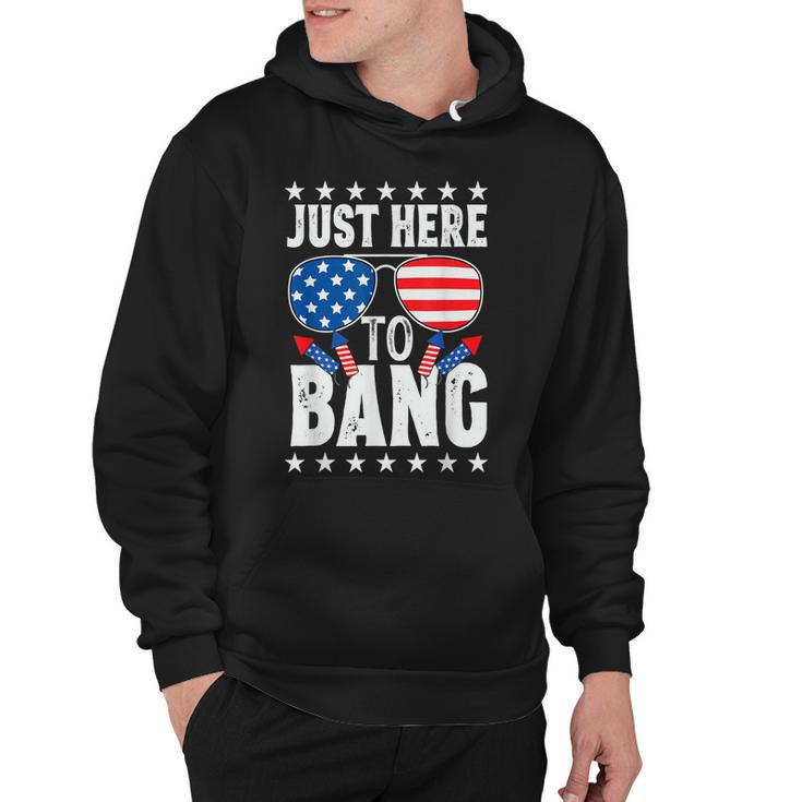Fourth Of July 4Th Of July Im Just Here To Bang Patriotic  Hoodie