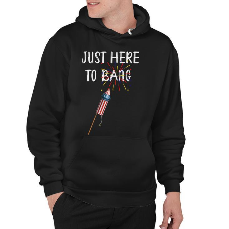 Funny Fourth Of July 4Th Of July Im Just Here To Bang  Hoodie
