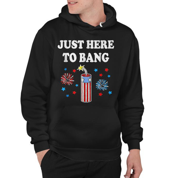 Funny Fourth Of July 4Th Of July Im Just Here To Bang  Hoodie