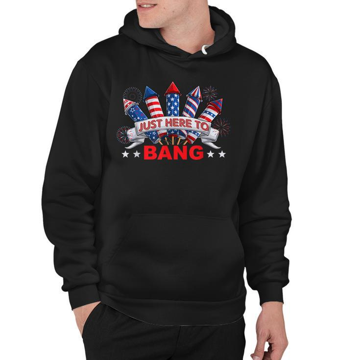 Funny Im Just Here To Bang  4Th Of July Mens Womens Kids  Hoodie