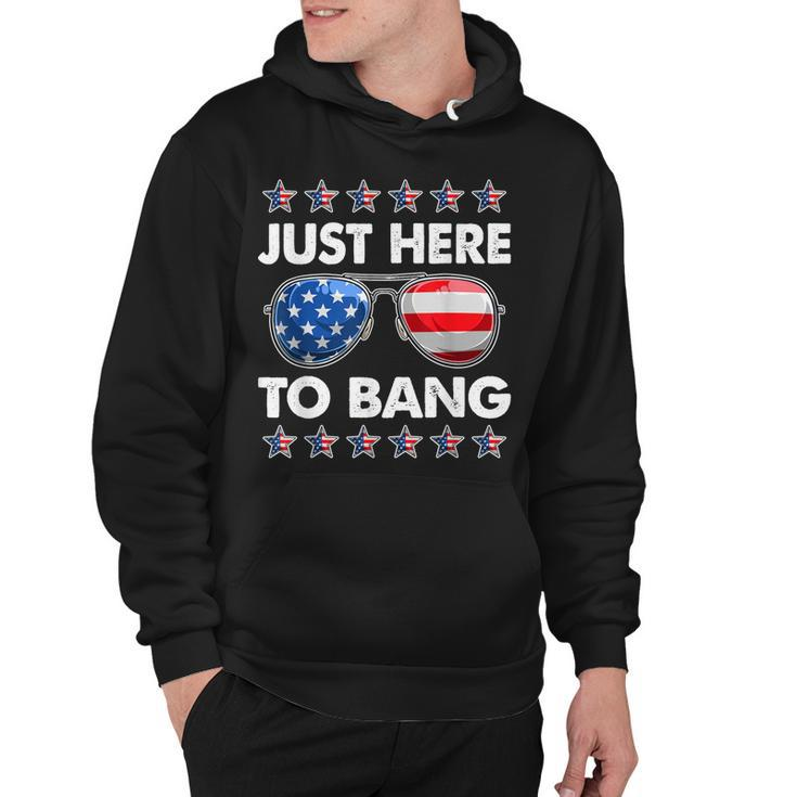 Funny Patriotic 4Th Of July Just Here To Bang Usa Sunglasses  Hoodie