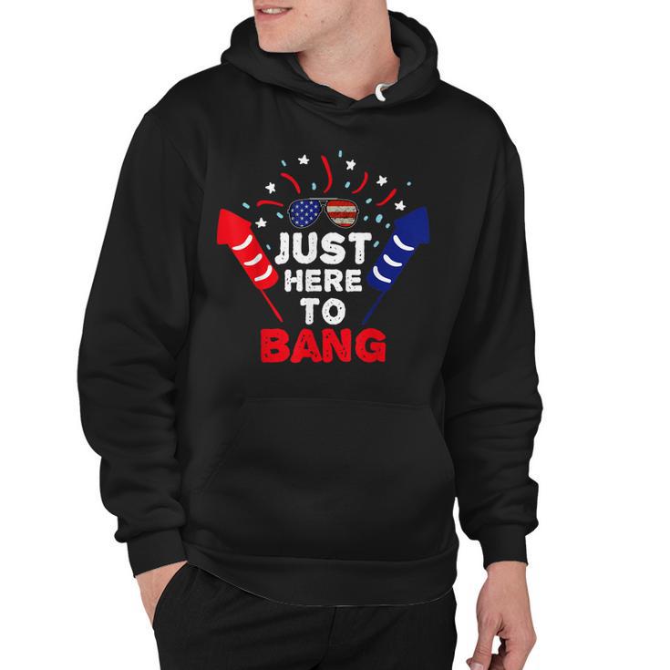 Funny Patriotic Im Just Here To Bang 4Th Of July Fireworks  Hoodie