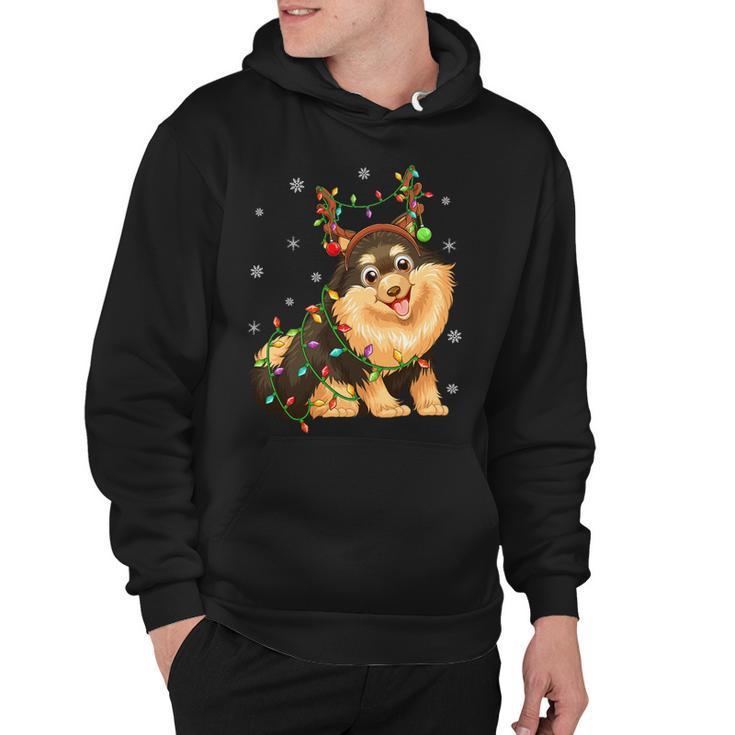 Funny Xmas Lighting Reindeer Hat Pomeranian Dog Christmas T-Shirt Hoodie