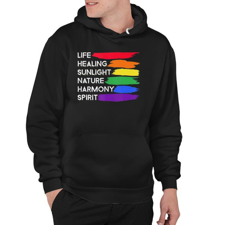 Gay Pride Awareness Flag Meaning  For Gay & Lesbian  Hoodie