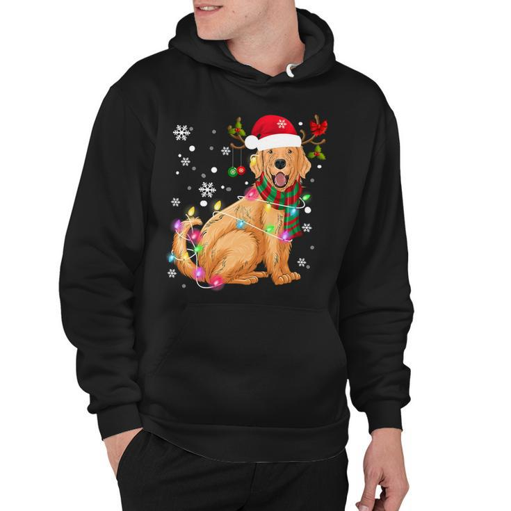 Golden Retriever Dog Wear Santa Hat Reindeer Horn Christmas Hoodie