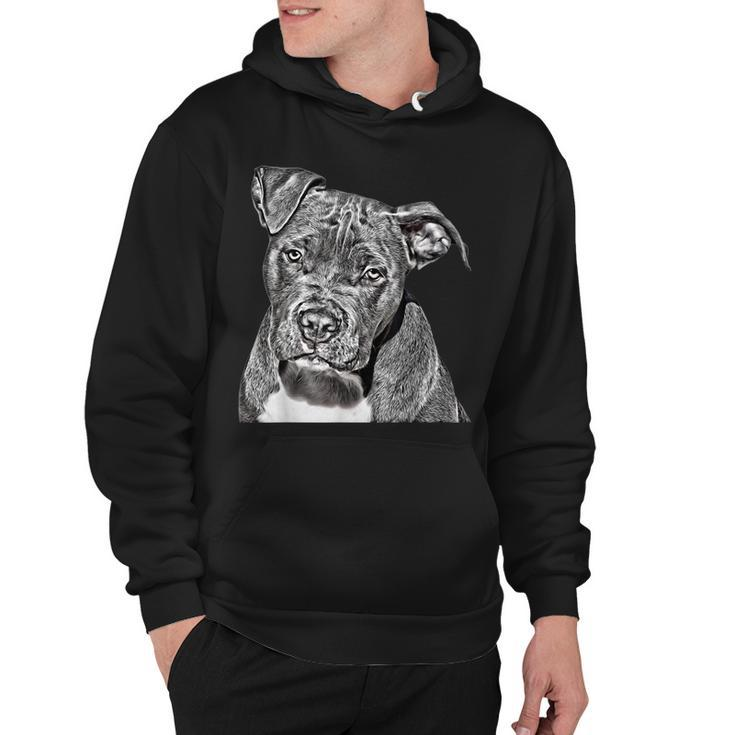 Graphic Novel For Dog Mom And Dog Dad Pit Bull Hoodie