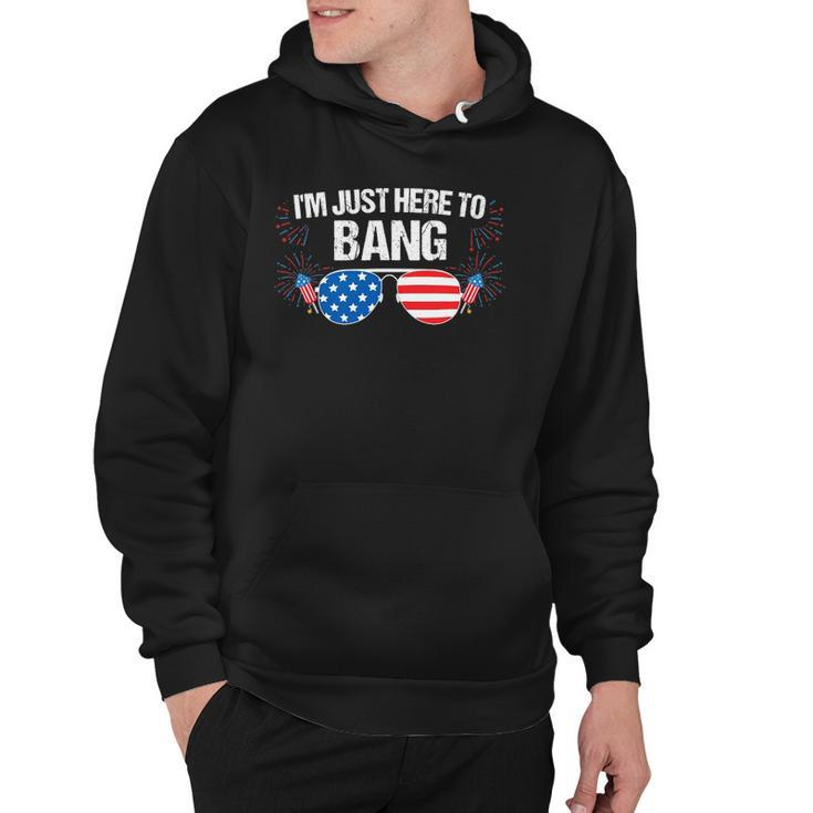 Im Just Here To Bang 4Th Of July Fireworks Director Hoodie