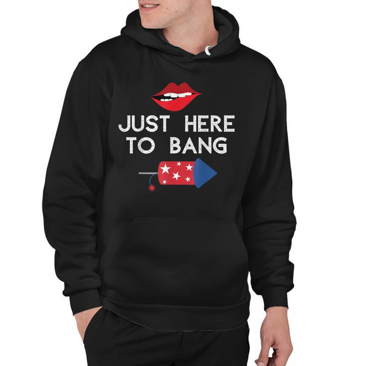Im Just Here To Bang 4Th Of July Fireworks Fourth Of July  Hoodie