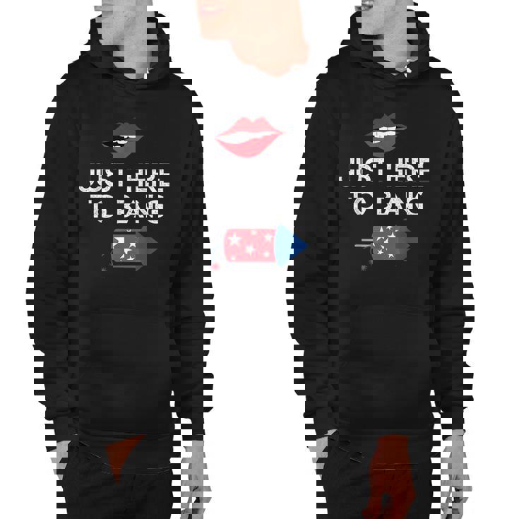 Im Just Here To Bang 4Th Of July Fireworks Fourth Of July  Hoodie