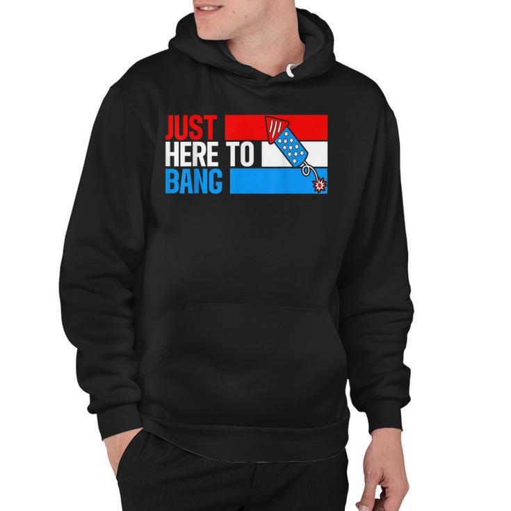 Just Here To Bang Fireworks Funny 4Th Of July  Hoodie