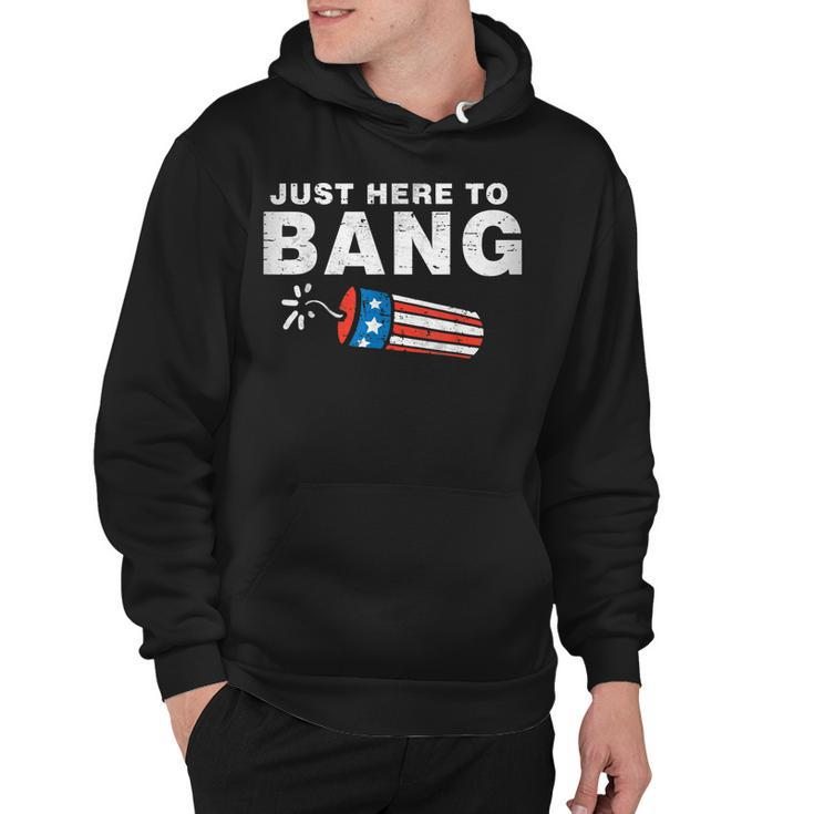 Just Here To Bang Funny Fireworks 4Th Of July Boys Men Kids  Hoodie
