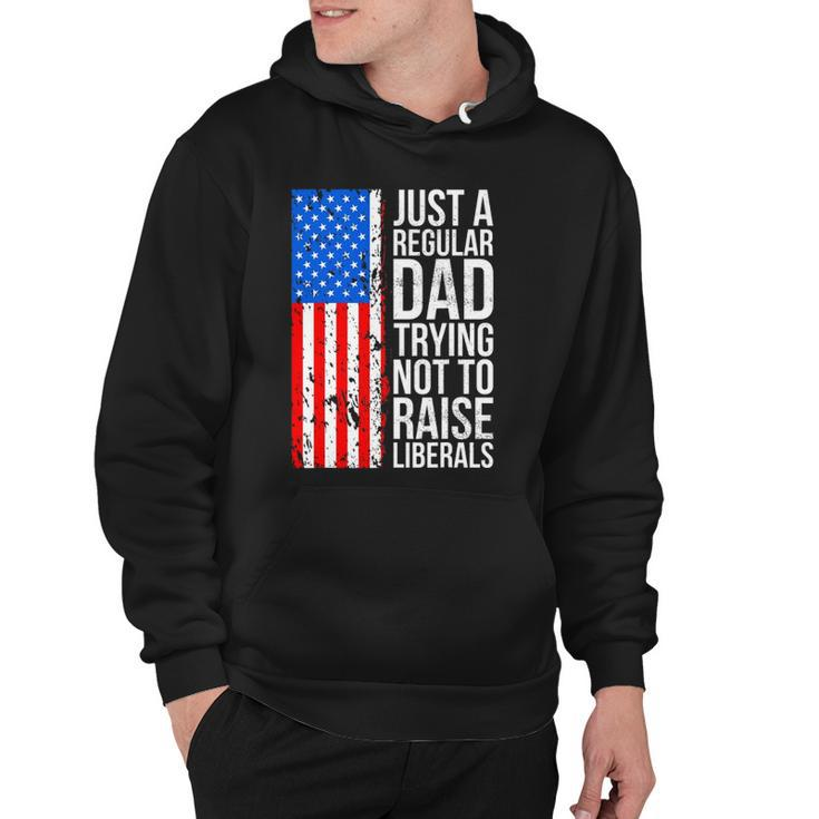 Mens Anti Liberal Just A Regular Dad Trying Not To Raise Liberals Hoodie