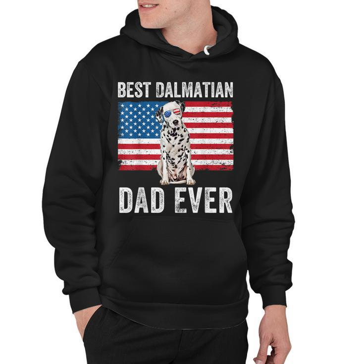 Mens Dalmatian Dad American Flag Dog Lover Owner Dalmatian Dog Hoodie