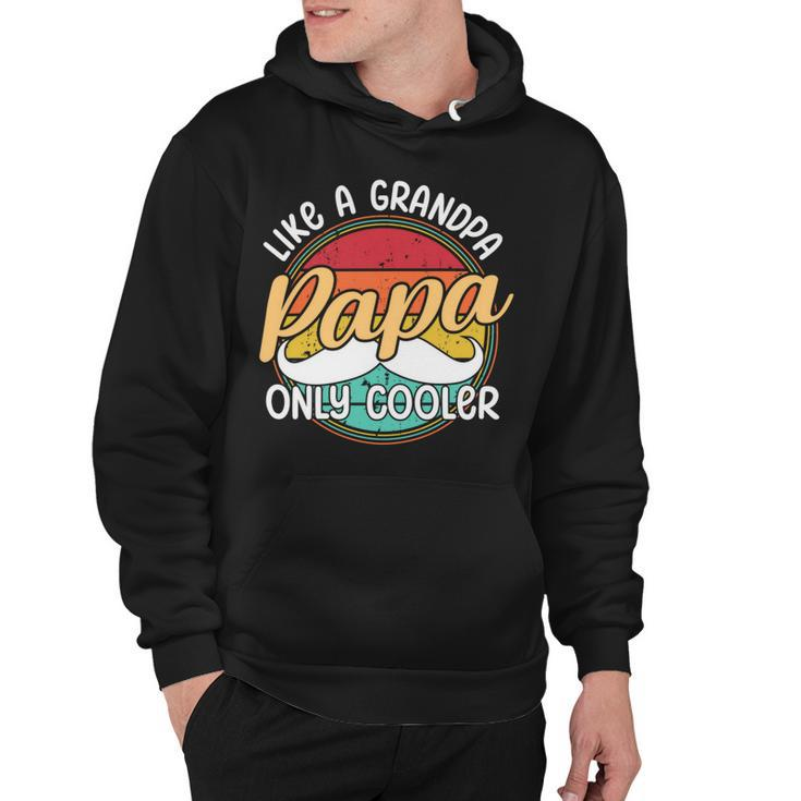 Papa Like A Grandpa Only Cooler Funny Quote For Fathers Day Hoodie