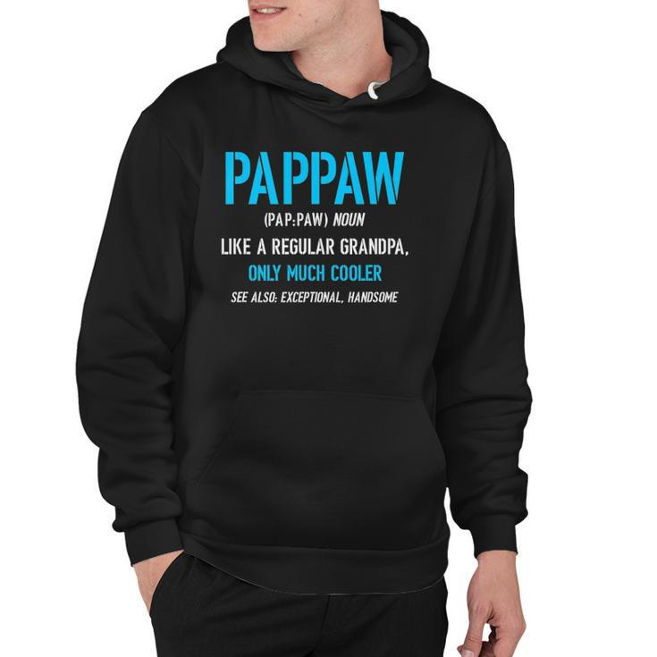 Pappaw Gift Like A Regular Funny Definition Much Cooler Hoodie