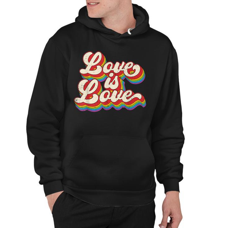 Rainbow Vintage Love Is Love Lgbt Gay Lesbian Pride  Hoodie