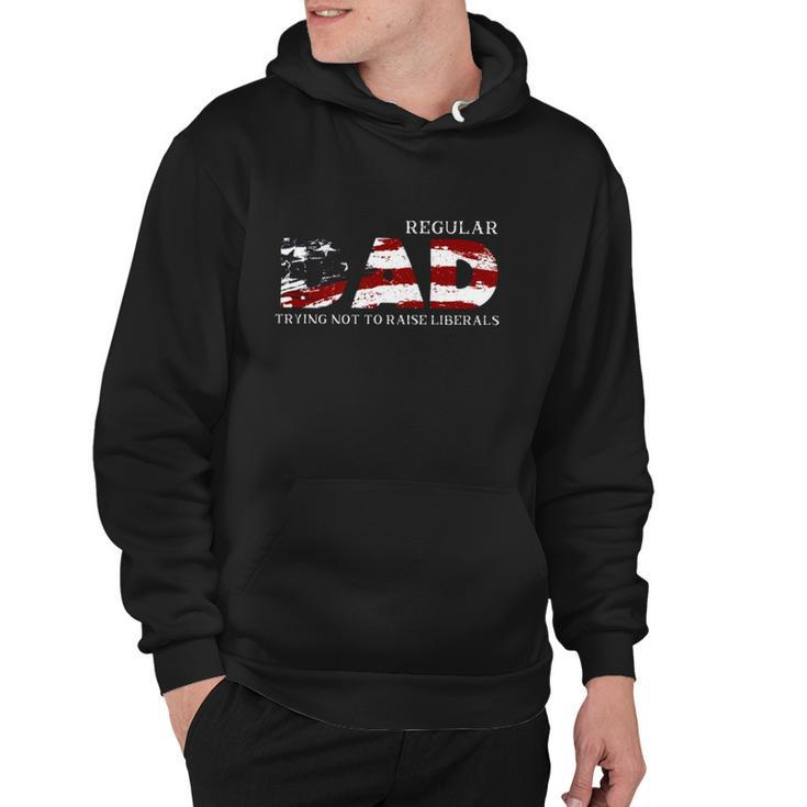 Regular Dad Trying Not To Raise Liberals American Flag Fathers Day Hoodie