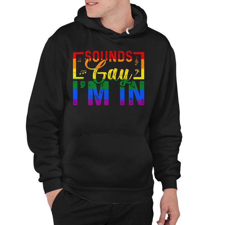 Sounds Gay Im In Funny Rainbow Sunglasses Lgbt Pride   Hoodie