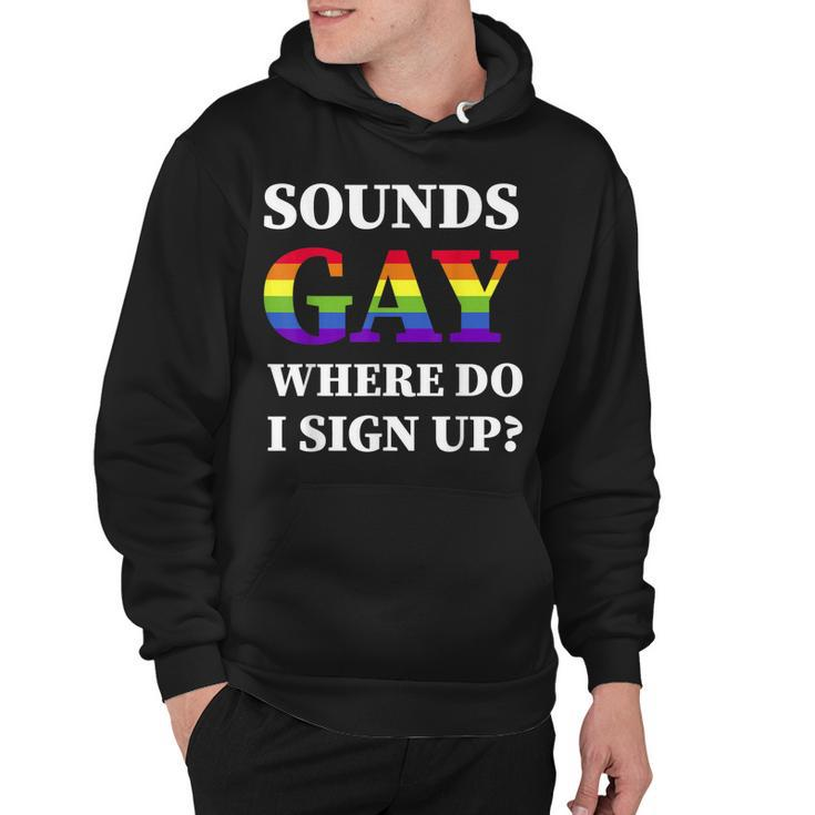 Sounds Gay Im In Gay Pride Lgbt Rainbow Flag Lgbtq Pride Hoodie