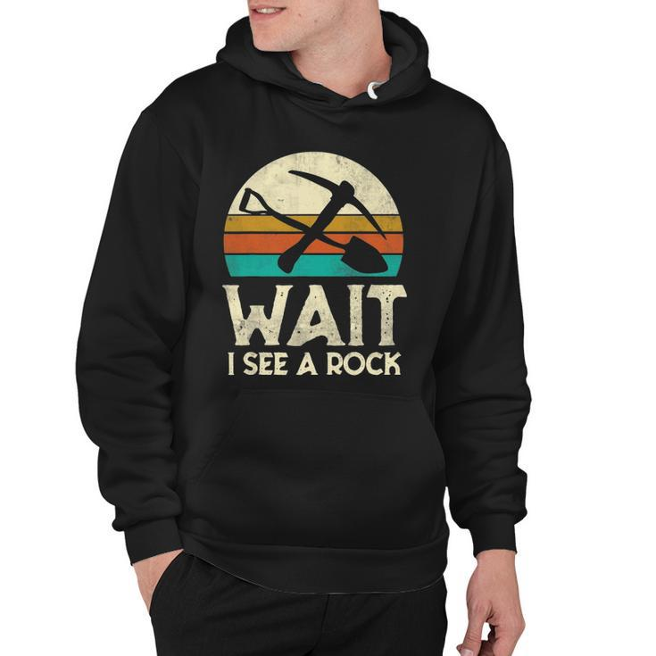 Wait I See A Rock Funny Geologist Gift Science Retro Geology Hoodie