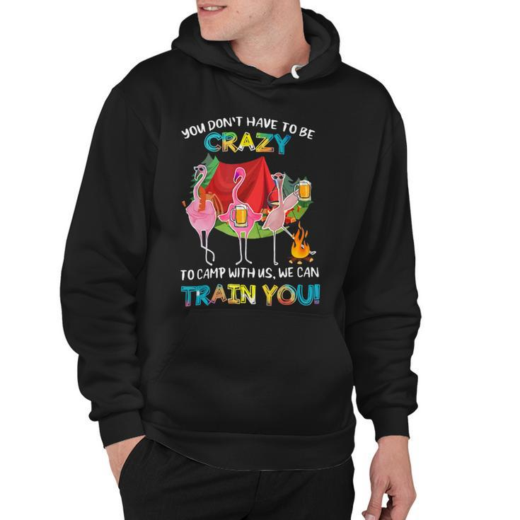 You Dont Have To Be Crazy To Camp Flamingo Beer Camping T Shirt Hoodie