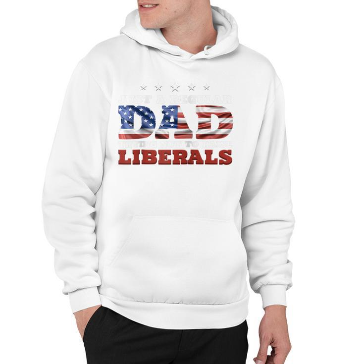 Just A Regular Dad Trying Not To Raise Liberals 4Th Of July  Hoodie