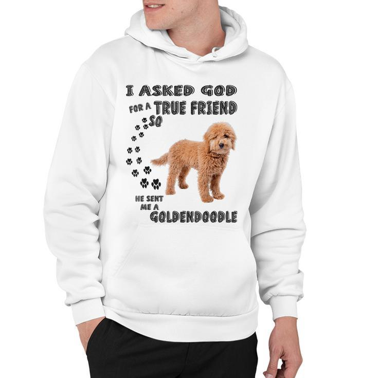 Mini Goldendoodle Quote Mom Doodle Dad Art Cute Groodle Dog Hoodie