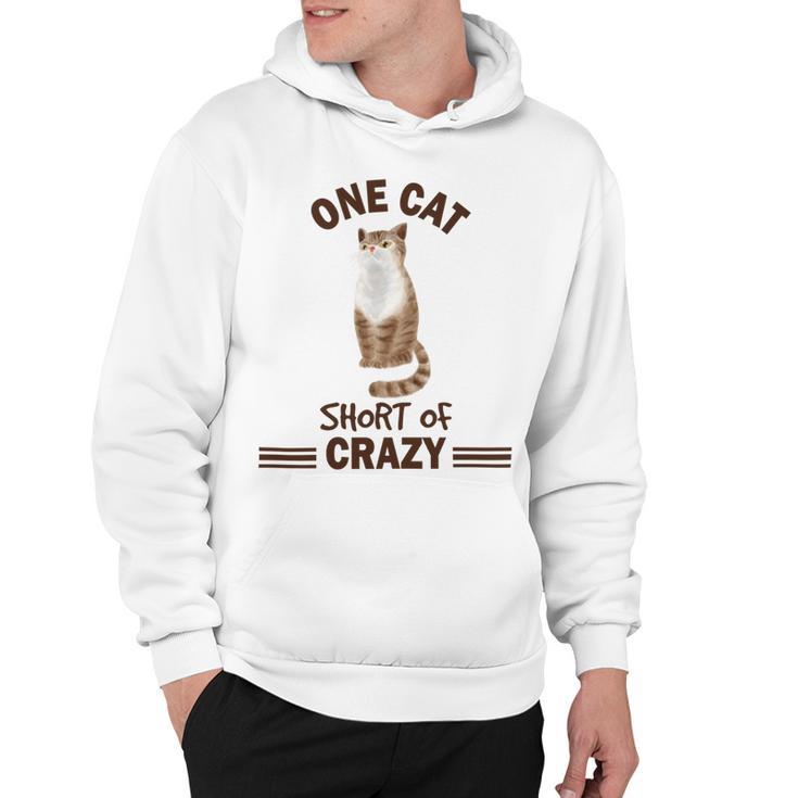 One Cat Short Of Crazy Hoodie