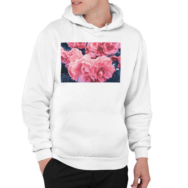 Pink Roses In Garden Hoodie