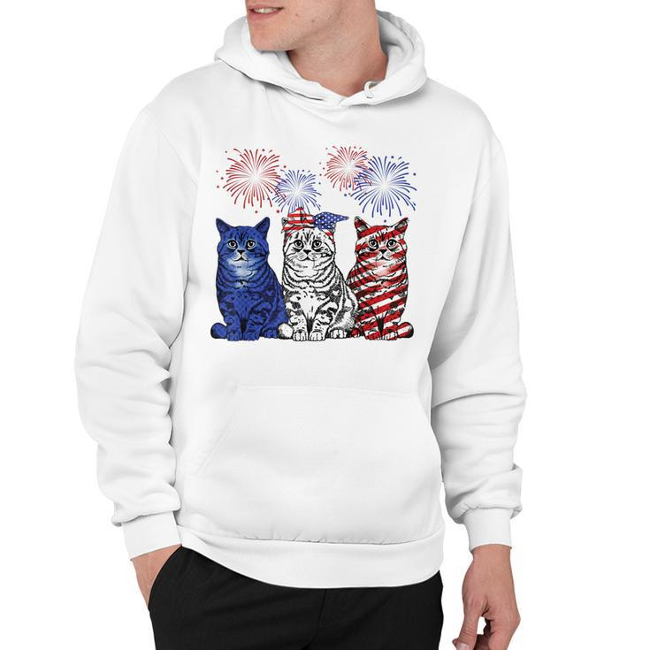 Red White Blue Cats Usa Flag Fireworks 4Th Of July Patriotic  Hoodie