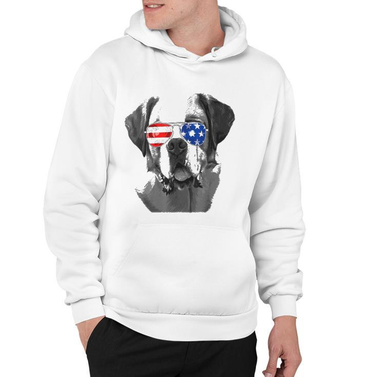 Saint Bernard Dog Sunglasses Flag American 4Th Of July Funny Hoodie