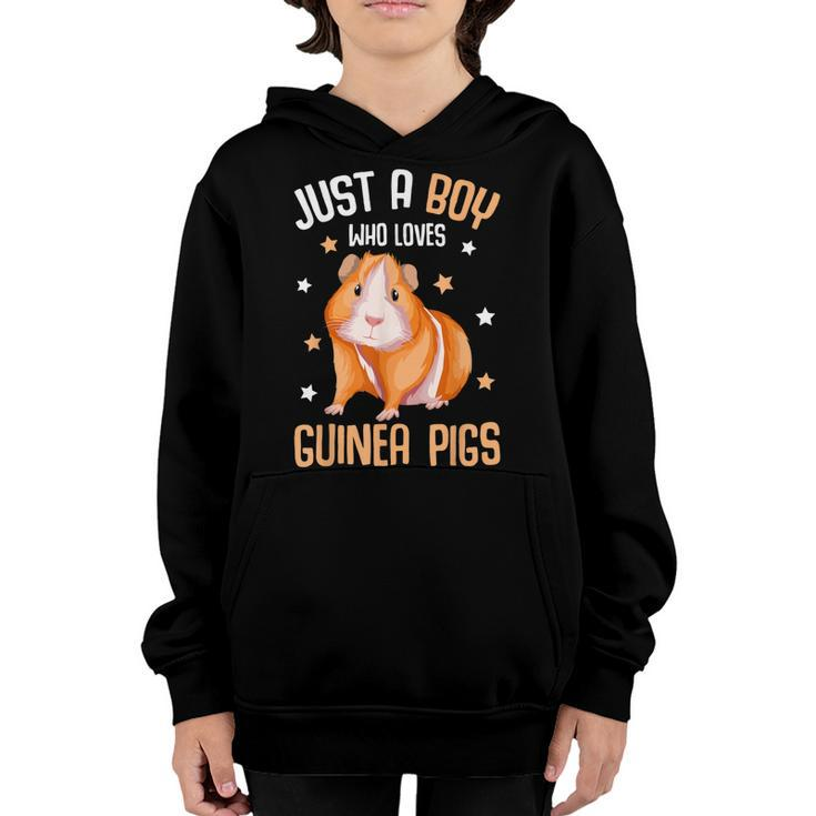 Just A Boy Who Loves Guinea Pigs Kids Boys Guinea Pig  Youth Hoodie