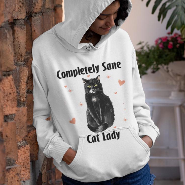 Completely Sane Cat Lady Cat Lover Cute Kitty Youth Hoodie